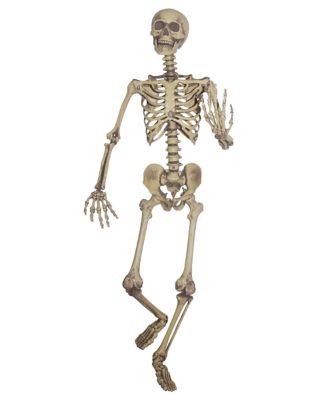 5 Ft Poseable Skeleton Halloween decoration — bestseller at Ghost Halloween Store ghosthalloweenstore.com