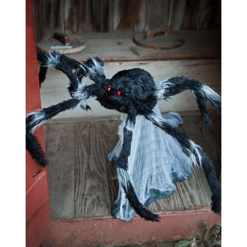 Skeleton Hands view 2